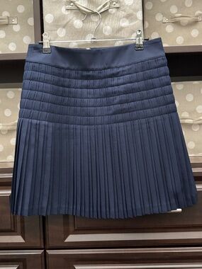J Crew Navy Pleated Skirt